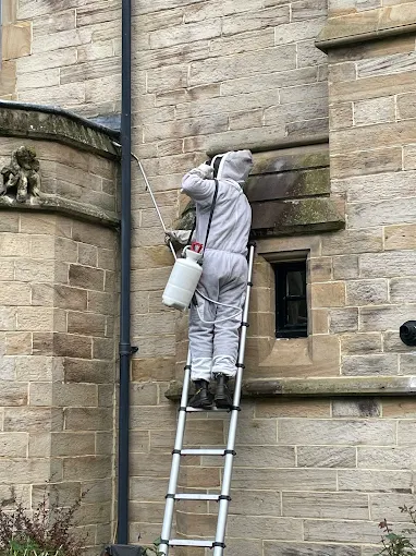 Ernest treating a wasp nest at a stone building